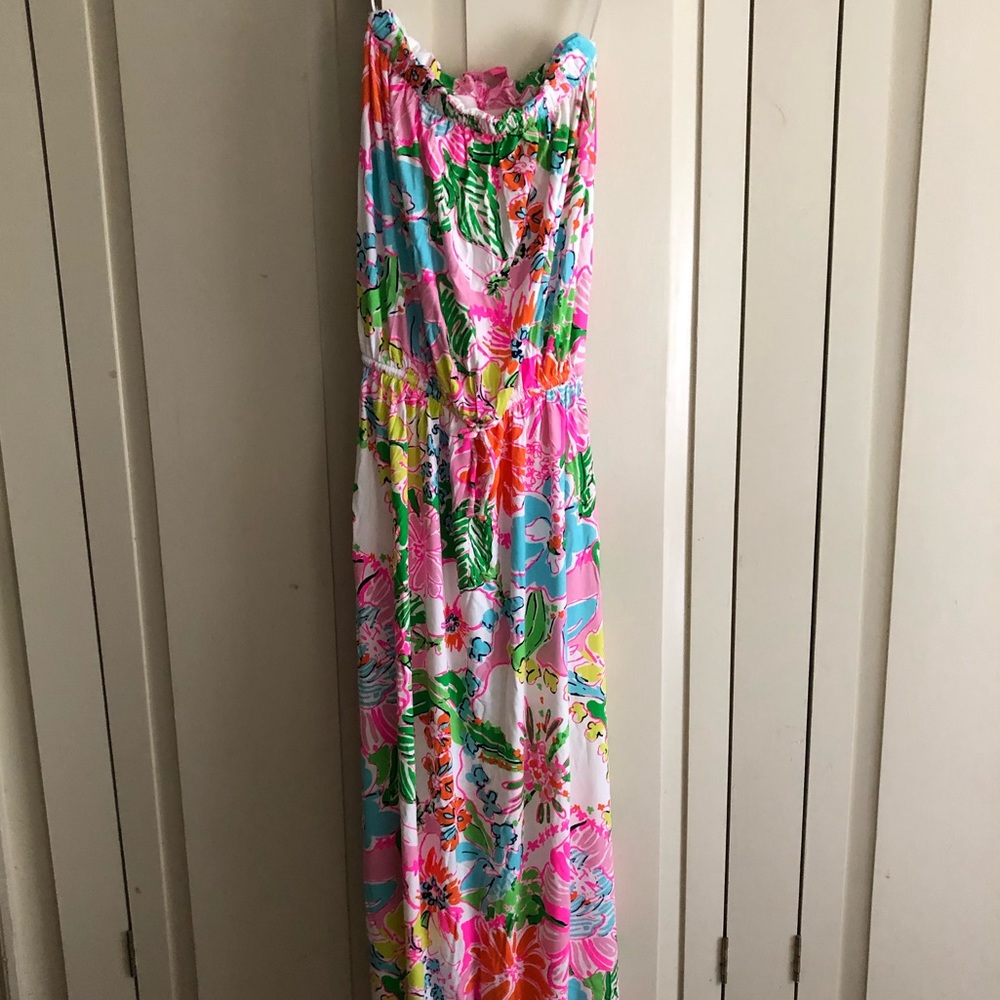 Nosie Posey Lily Pulitzer for Target Maxi dress